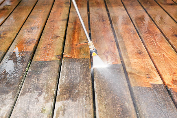 Best Roof Cleaning and Mildew Removal in Blacksburg, VA